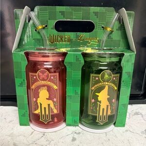 Dragon Glassware x Wicked Enchanted Drinking Glasses set 16oz